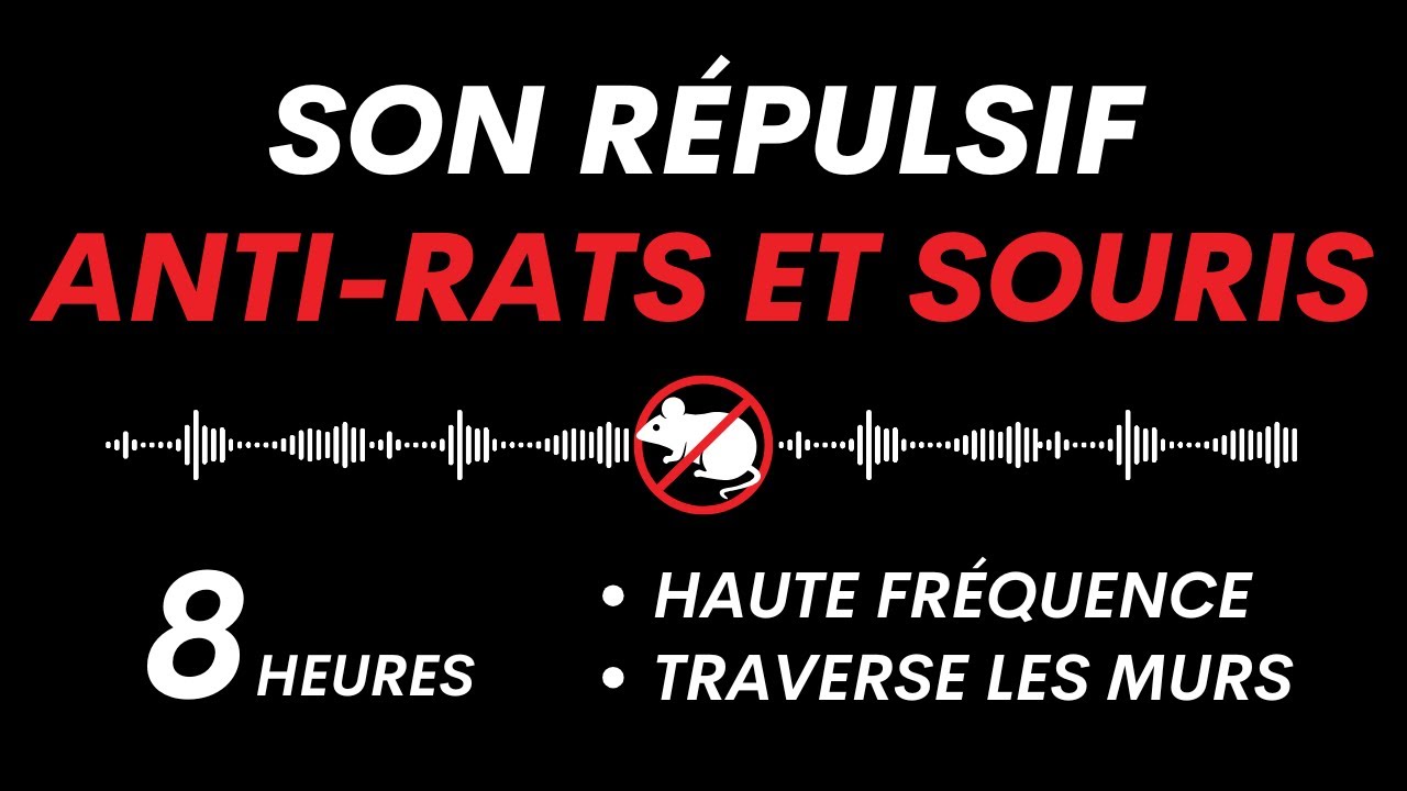 Répulsif Ultrason pour Rats et Souris | Son Traversant les Murs | 8 Heures