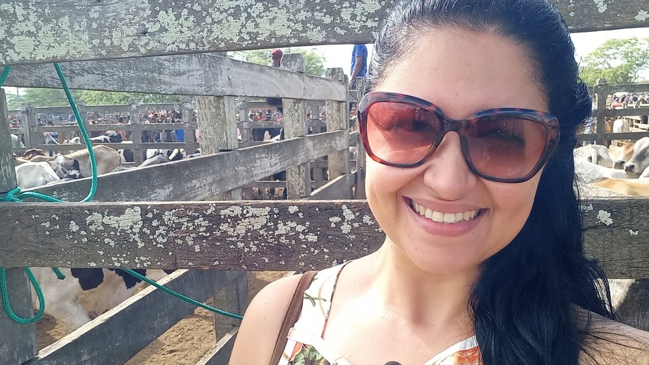 FEIRA DO GADO CACHOEIRINHA PE #gado #Cachoeirinha #agreste #nordeste