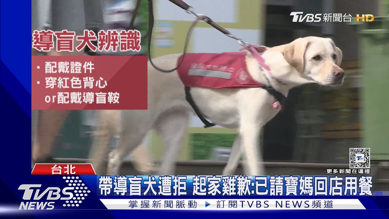 帶導盲犬到「起家雞」竟遭拒 店員稱:寵物不可｜TVBS新聞 @TVBSNEWS01
