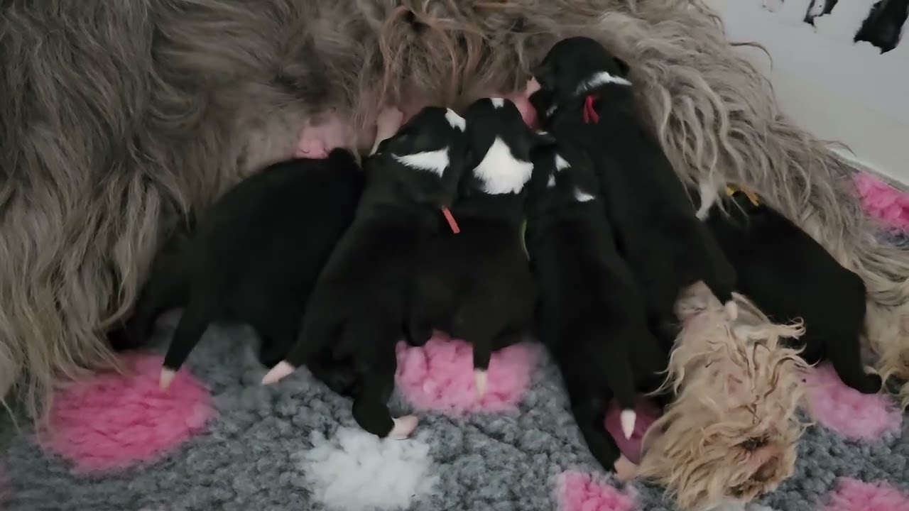 Ninah's prinsessen 1 week oud(3)
