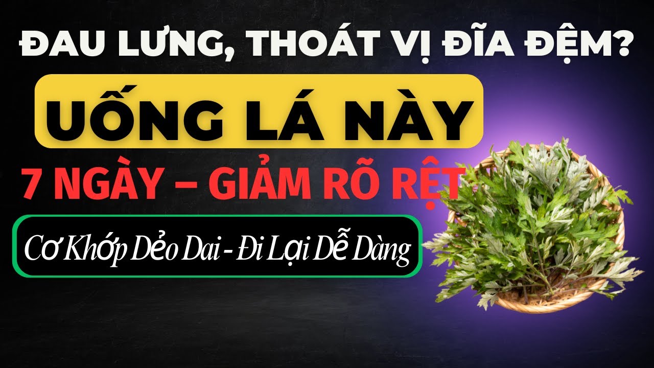 Người Cao Tuổi | 99% Không Biết – Uống Nước Lá Này Giảm Đau Lưng, Thoát Vị Đĩa Đệm Hiệu Quả