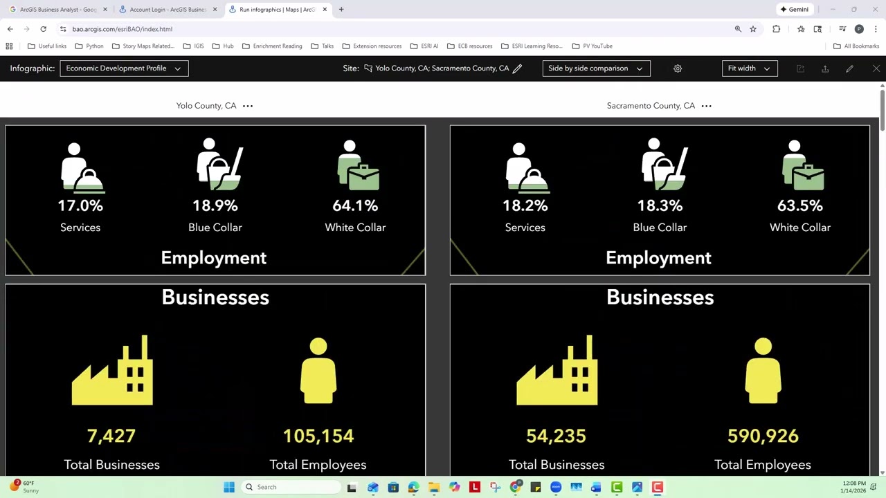 Business Analyst Exploring Infographics and Data for Your Service Area