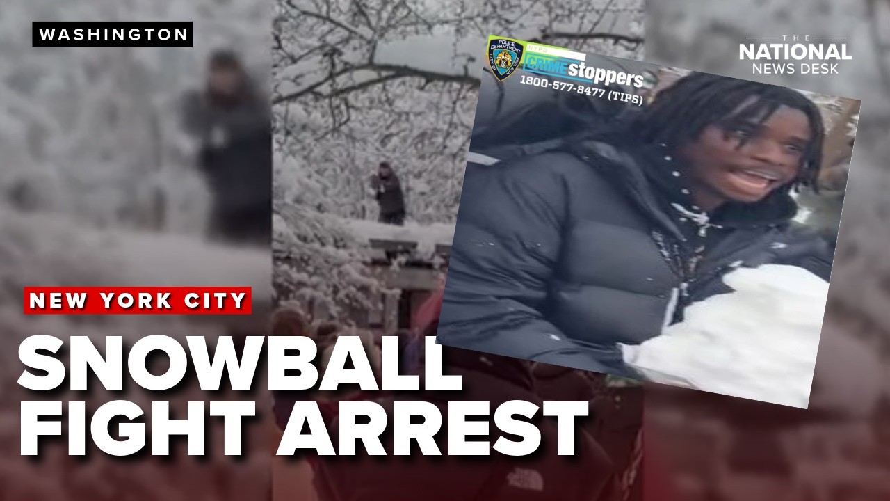 ARREST made after New York City Police pelted with snowballs