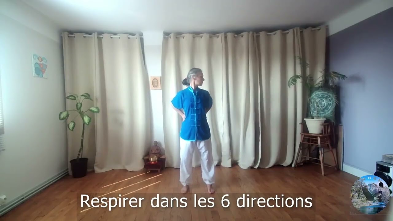 Les 20 mouvements essentiels - Vidéo en miroir