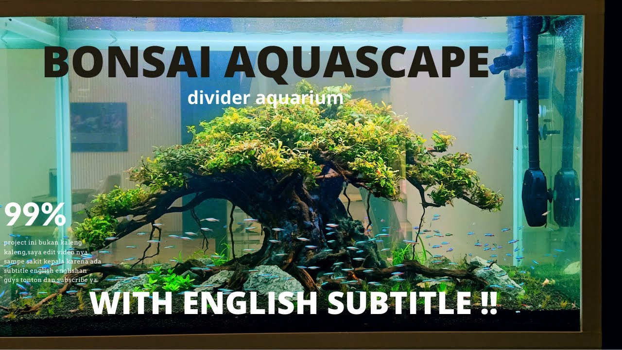 AQUASCAPE DIVIDER ROOM BONSAI THEME,WITH ENGLISH SUBTITLE