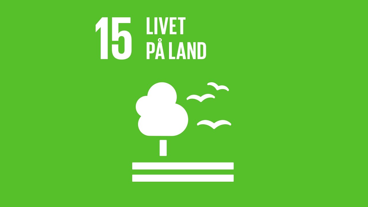 Verdensmål 15: Livet på land - verdensmålene.dk