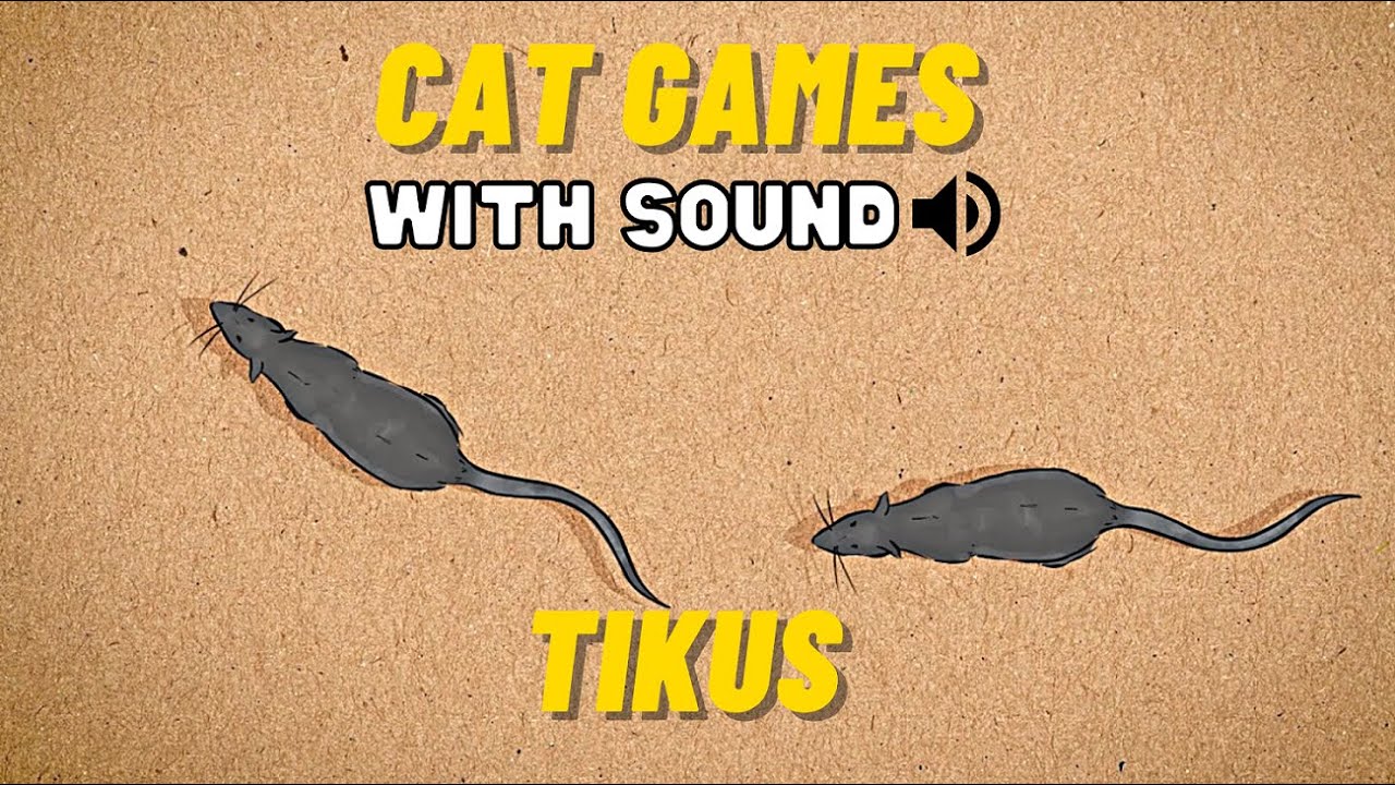 CAT GAMES - CATCHING MICE (ANIMASI TIKUS) DENGAN SUARA, FULL 30 MENIT