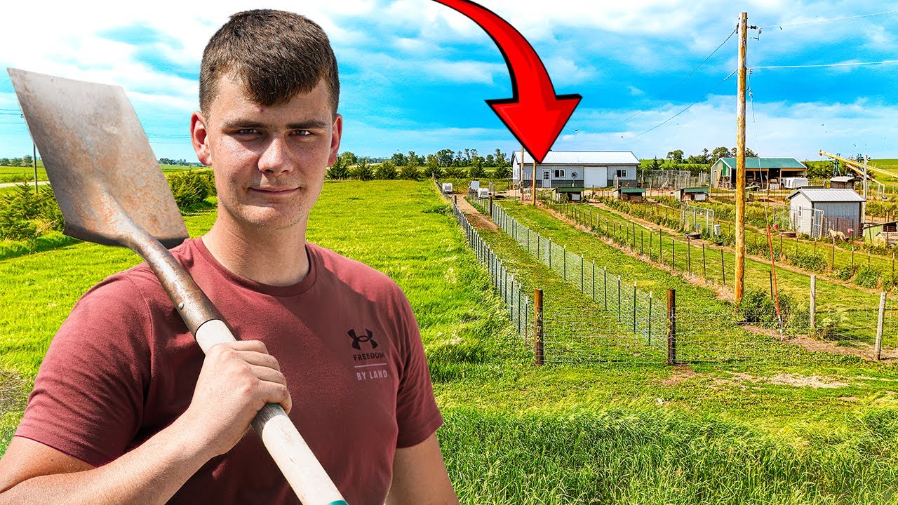 Building the Ultimate DOG PEN