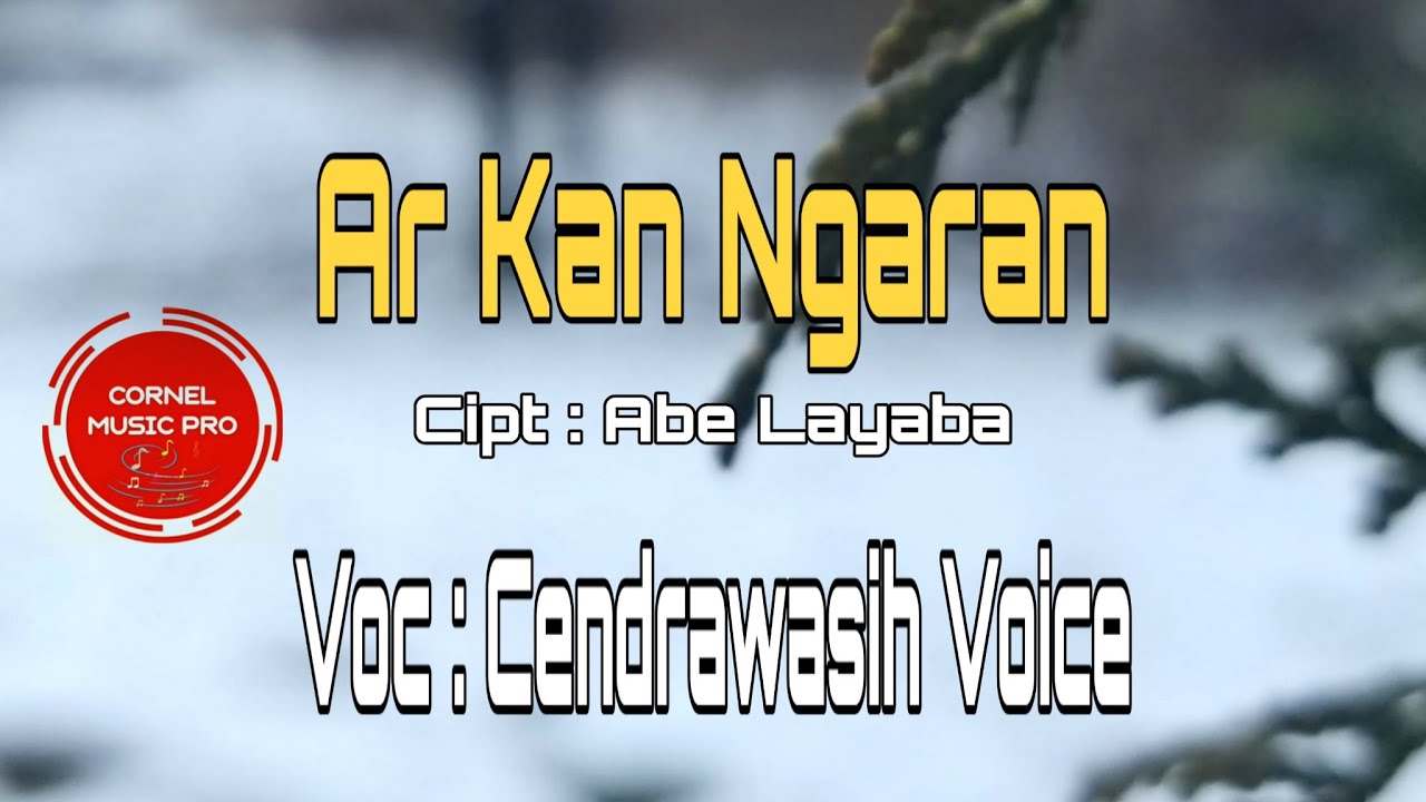 Pop Daerah Aru Terbaru 2020 '