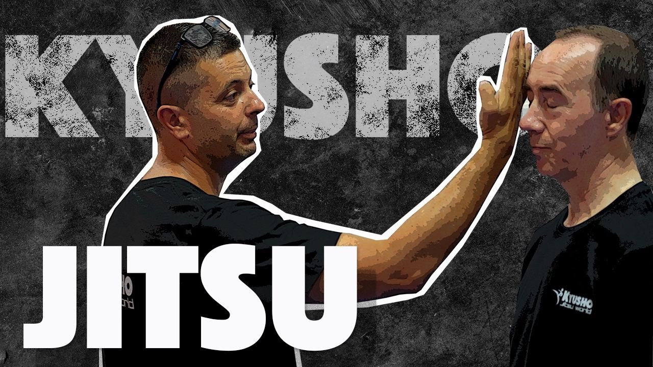 TECNICAS DE KYUSHO JITSU PARA LA DEFENSA PERSONAL /Artes Marciales en  Alicante