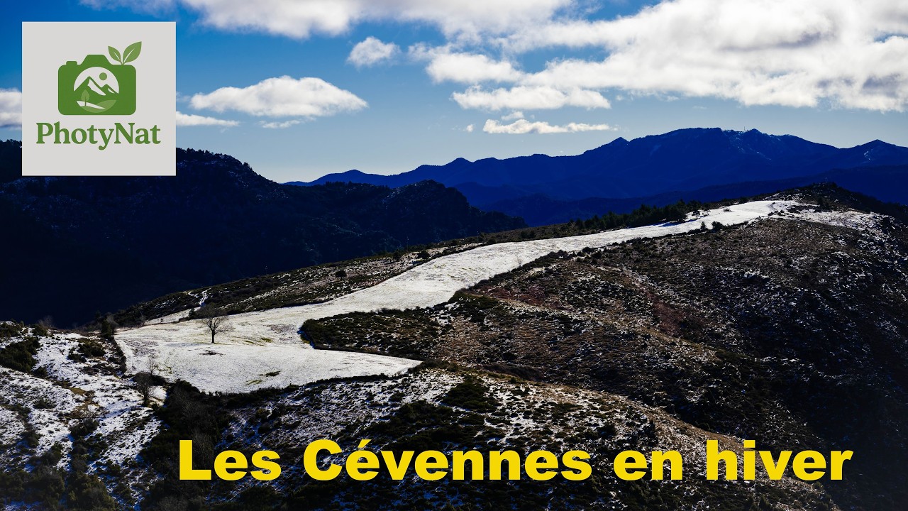 Les Cévennes en hiver - France - Gard - Lozère