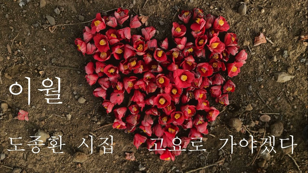 이월 /도종환 시집/ 고요로 가야겠다