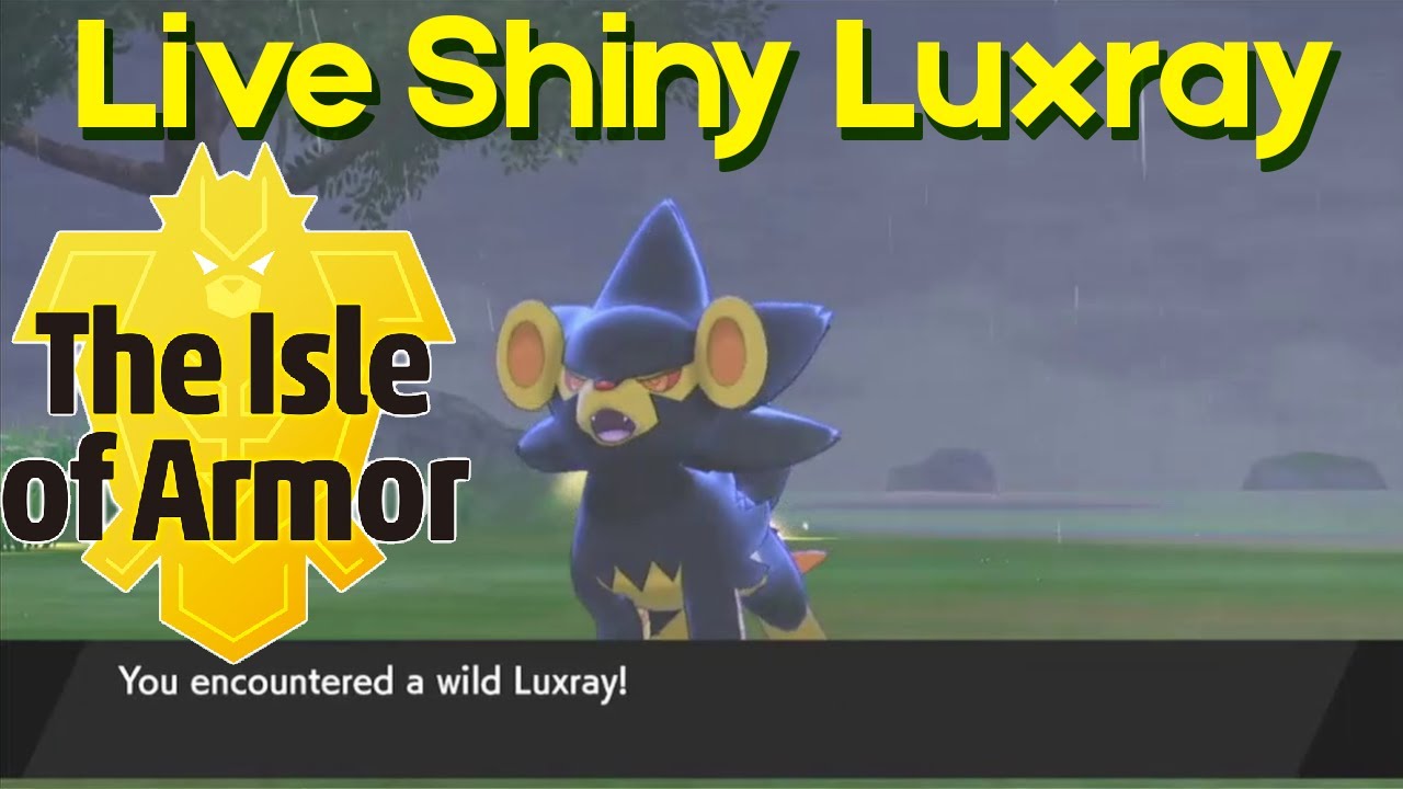 Shiny Luxray on the Isle of Armor + Camp Showcase