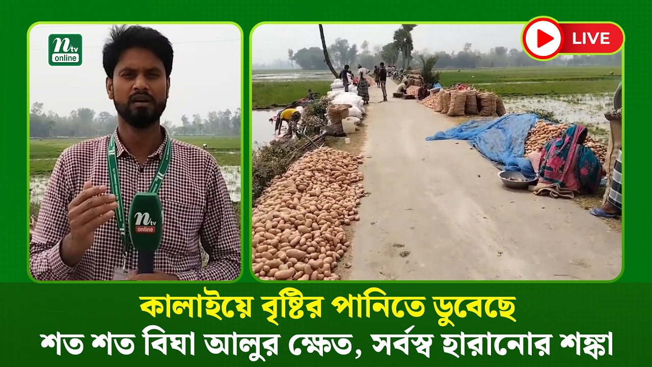 🔴LIVE : কালাইয়ে বৃষ্টির পানিতে ডুবেছে শত শত বিঘা আলুর ক্ষেত, সর্বস্ব হারানোর শঙ্কা