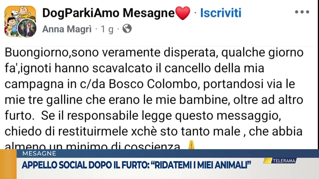 Appello social dopo il furto: “Ridatemi i miei animali”