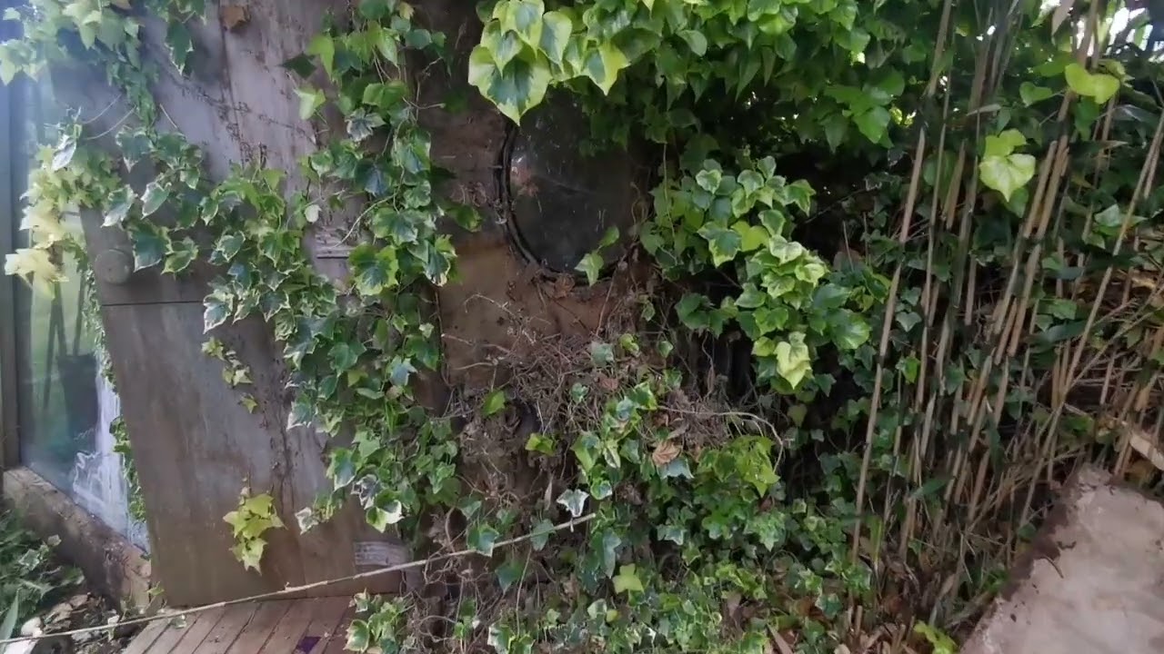 The Ivy Tree House on George Clarkes Amazing Spaces - S.7 Ep.2