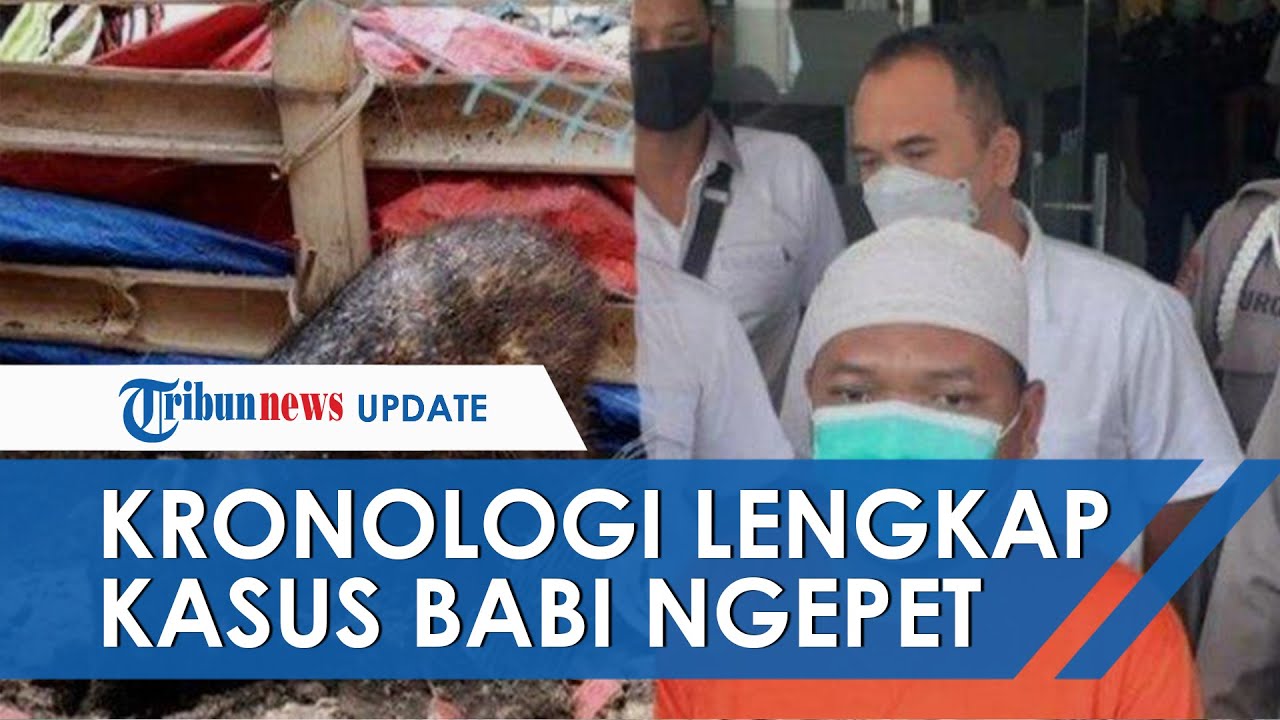 Kronologi Lengkap Kasus 'Babi Ngepet' yang Gegerkan Depok, dari Awal Viral hingga Terungkap Hoaks