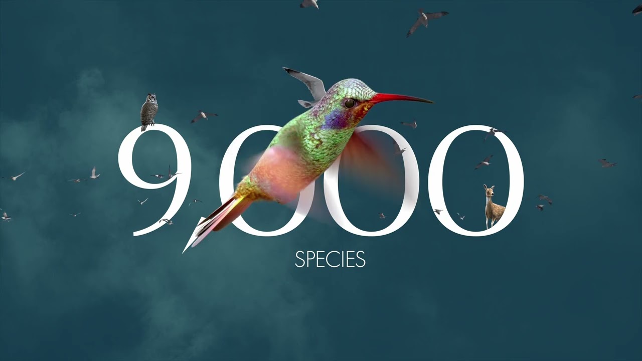 SWAROVSKI OPTIK AX Visio - 9000 species in a pair of binoculars
