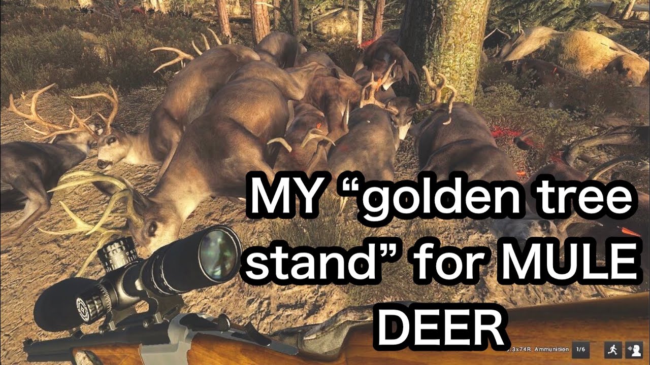 INSANE TIMBERGOLD TRAILS HUNT! THE HUNTER CLASSIC- MONSTER ELK, BIGHORN AND A PILE OF MULE DEER!