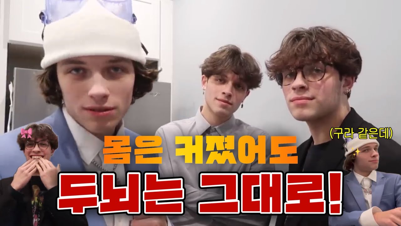 [스터니올로/한글자막] 바보 세쌍둥이배 맞춤법 대회🐝