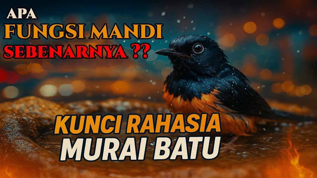 Rahasia Mandi Burung : Cara Halus Menurunkan Emosi & Over Birahi