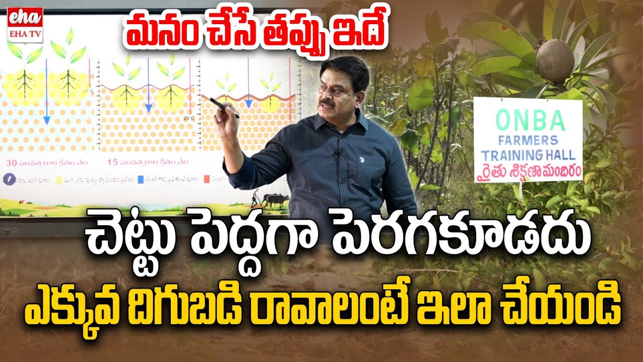 Farming New Techniques by Prathibha Biotech MD Rajashekar Reddy | Mango Farming | EHA TV