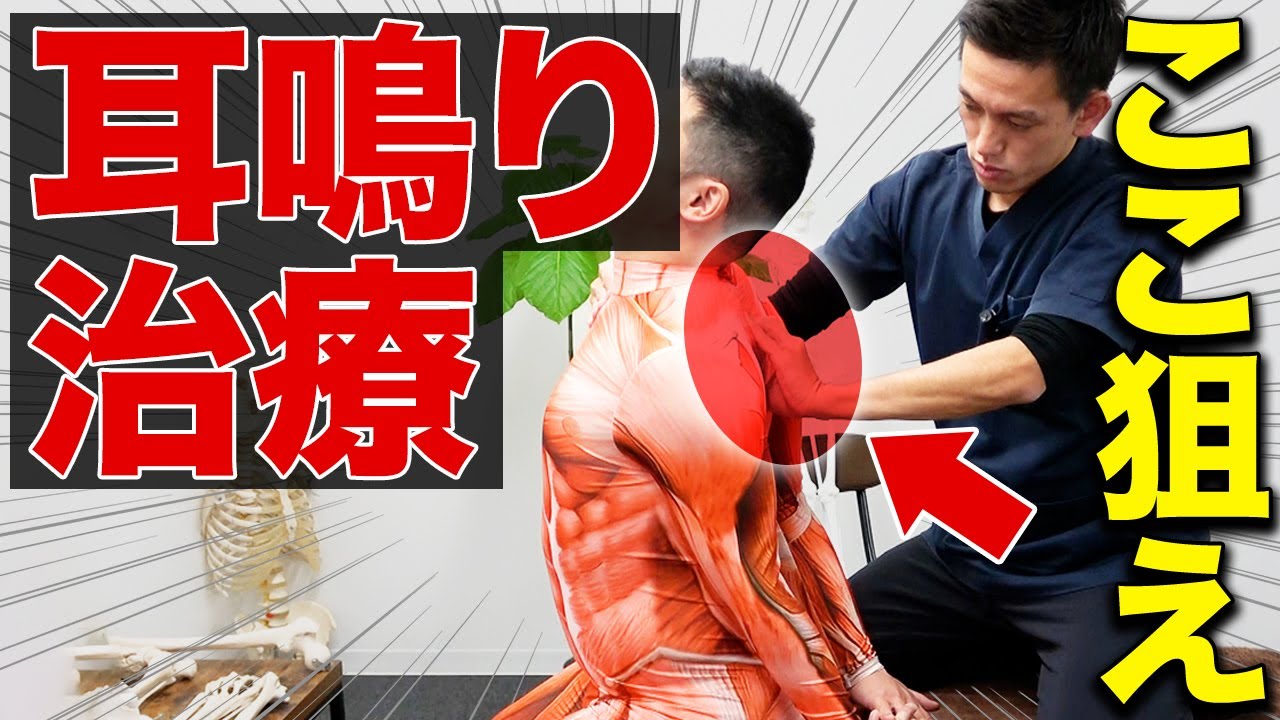 【9割以上の治療家が知らない】耳鳴り治療の重要さと驚愕の治療テクニックを徹底解説！
