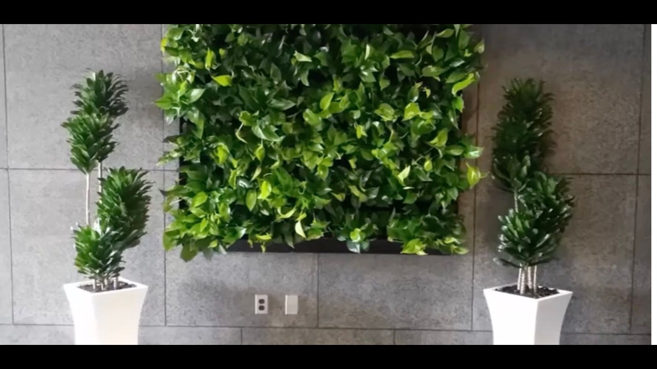 Living Walls | Gedike Begrünungen