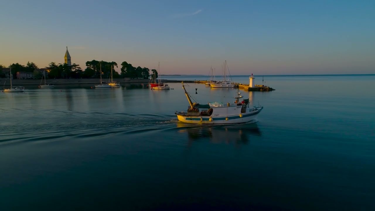 What to do in Novigrad by day? / drone video 4K