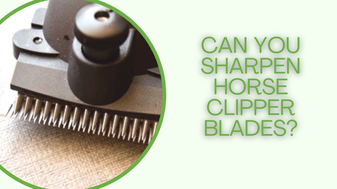 Sharpening horse clipper blades