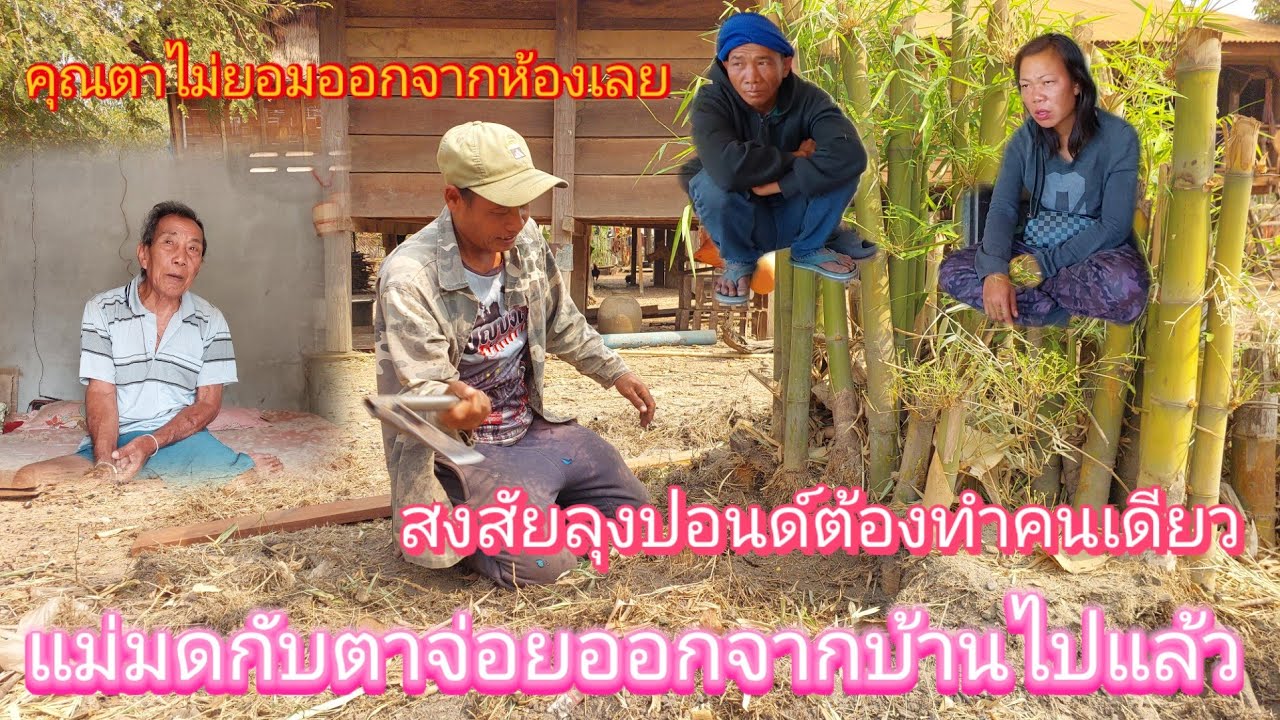 อัพเดทบ้านคุณตาคุณยาย‼️#แม่มดกับตาจอยออกจากบ้านไปแล้วแต่เช้า😱23/2/2026
