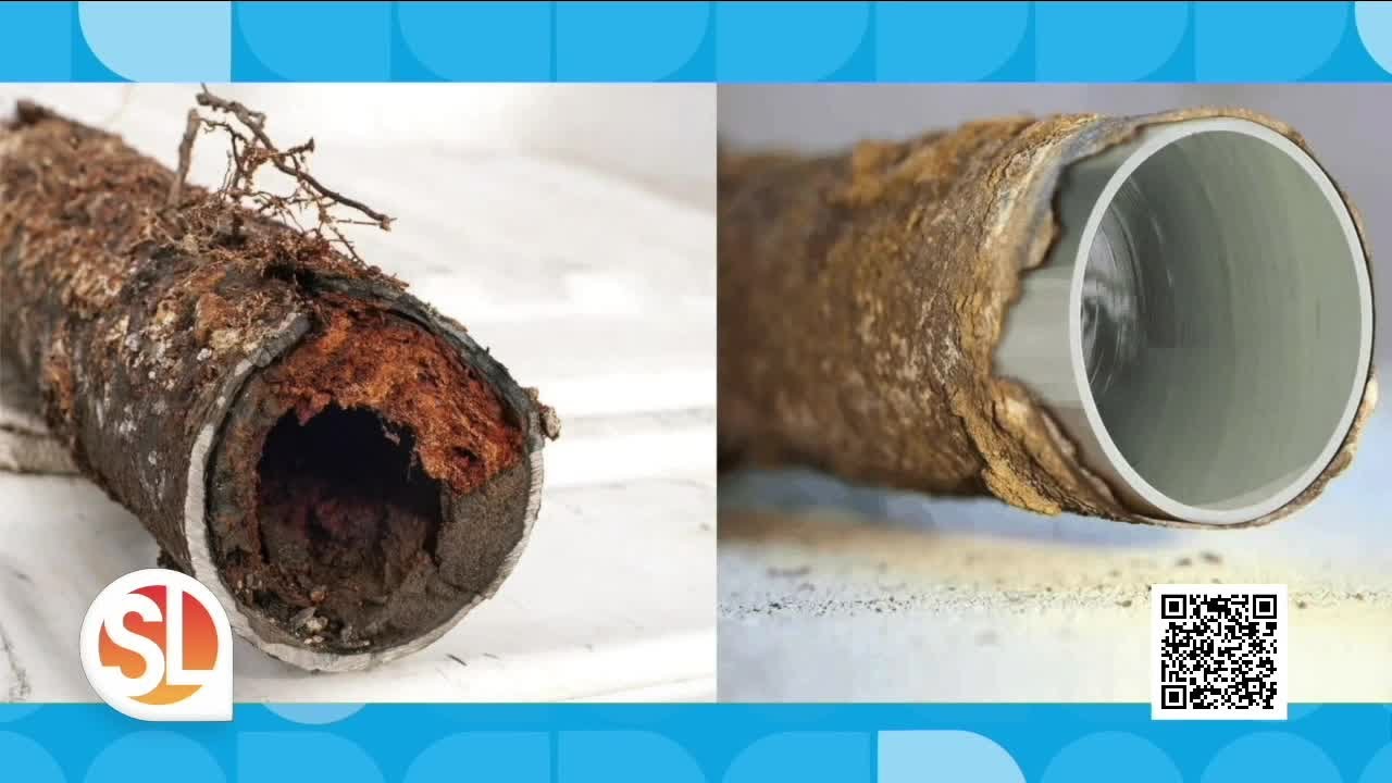 Zippity Split Plumbing can quickly repair your sewer line