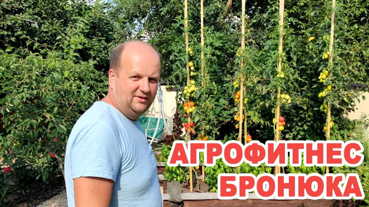 Агрофитнес Бронюка. Что выращивает лидер группы «ТИК» на своем огороде