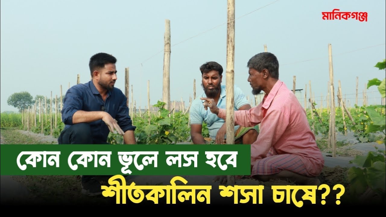 যে যে ভূলের কারনে শীতকালিন শসা চাষে লস করলেন মানিকগঞ্জের আসলাম ভাই | ভূল থেকে শিখুন | এগ্রো-১