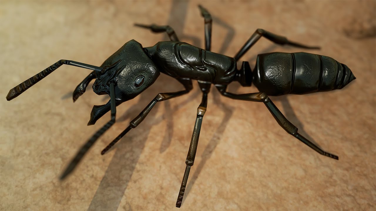 The African Stink Ant