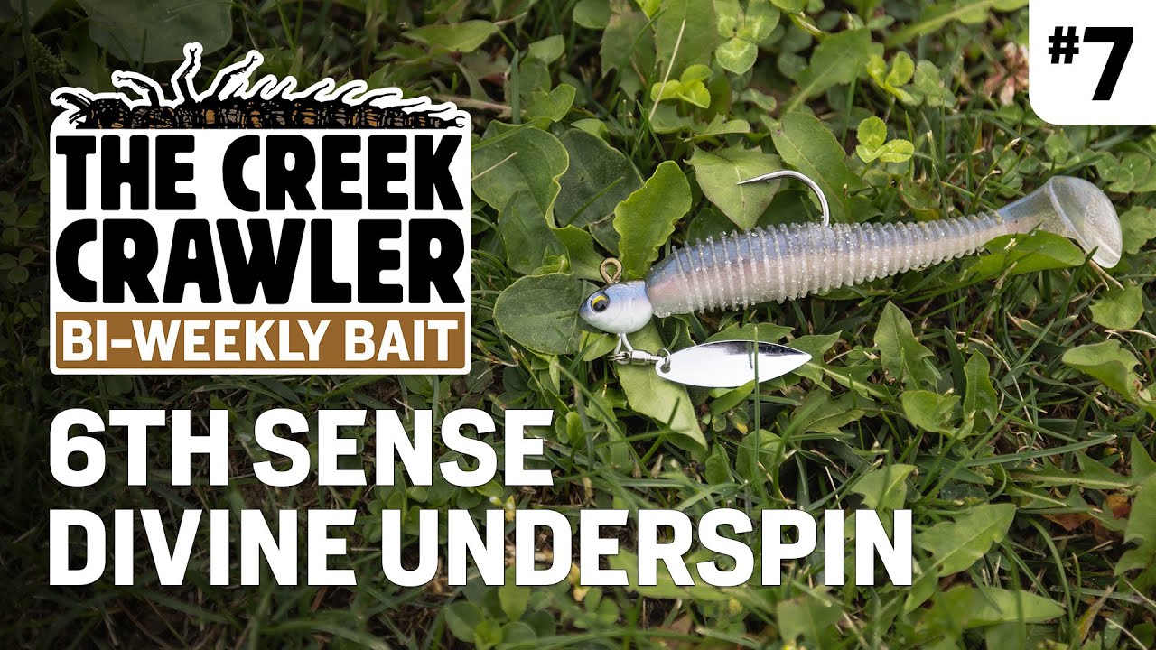 6th Sense Divine Underspin // Creek Crawler's Bi-Weekly Bait # 7
