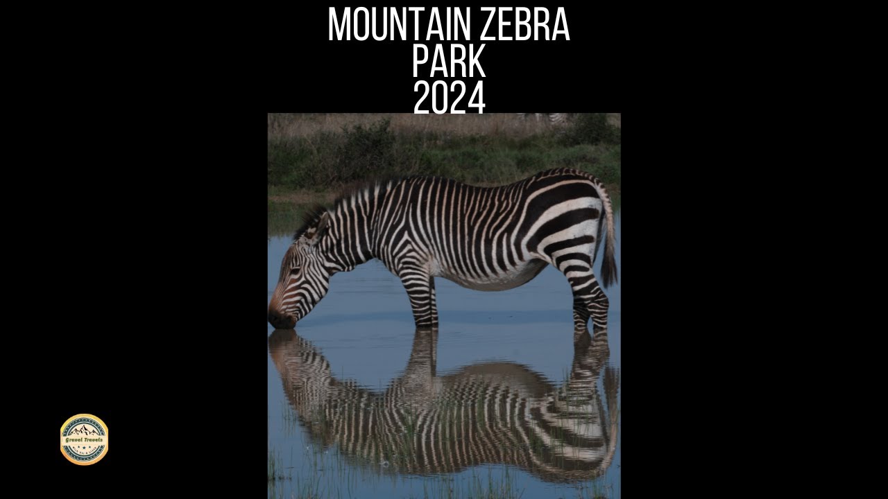MOUNTAIN ZEBRA PARK 2024