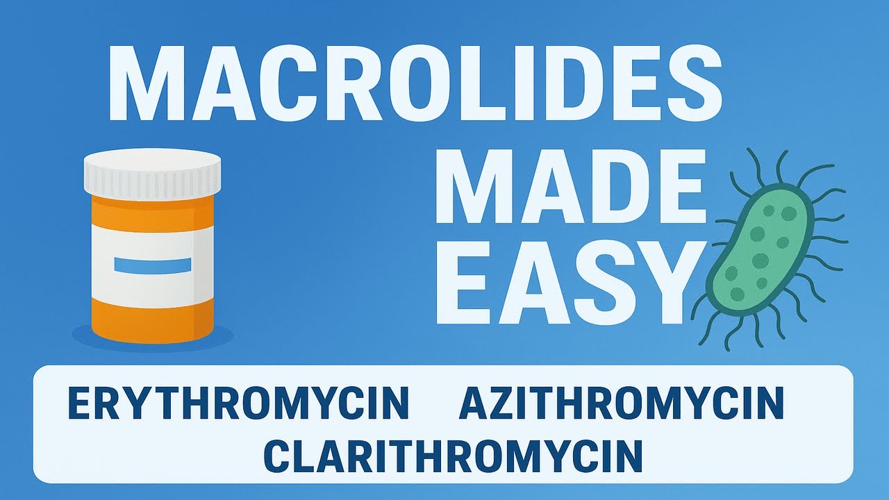 Macrolides Explained Super Simply! | Mechanism, Uses & Side Effects