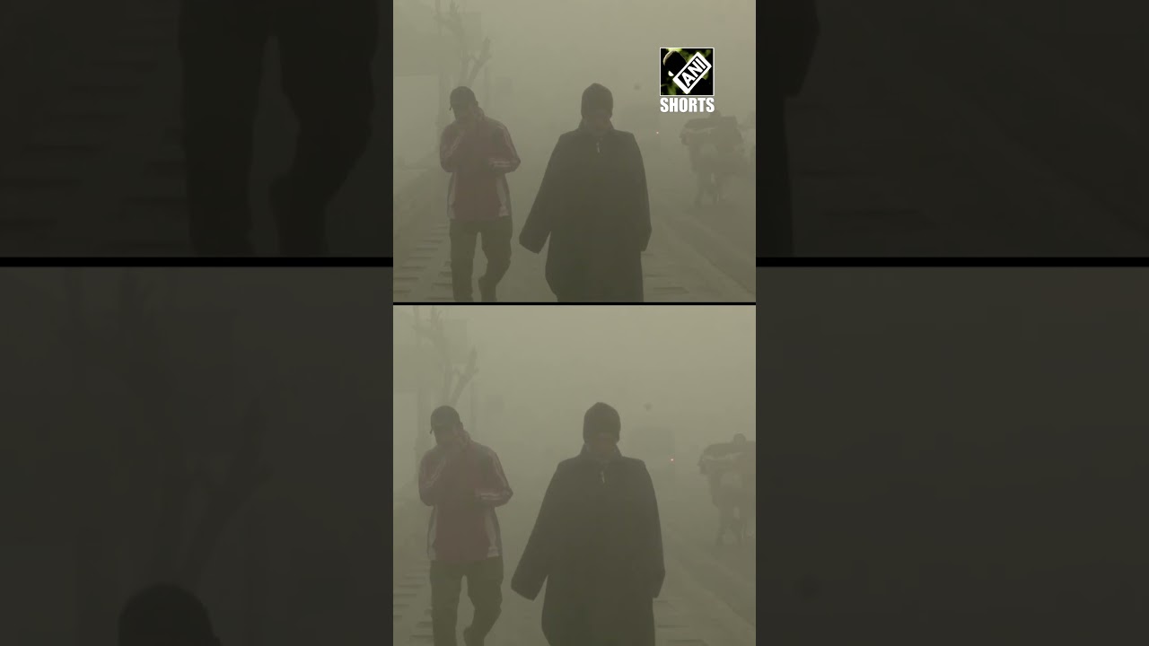 J&K: Cold wave grips in Srinagar, residents wake up to thick blanket of fog