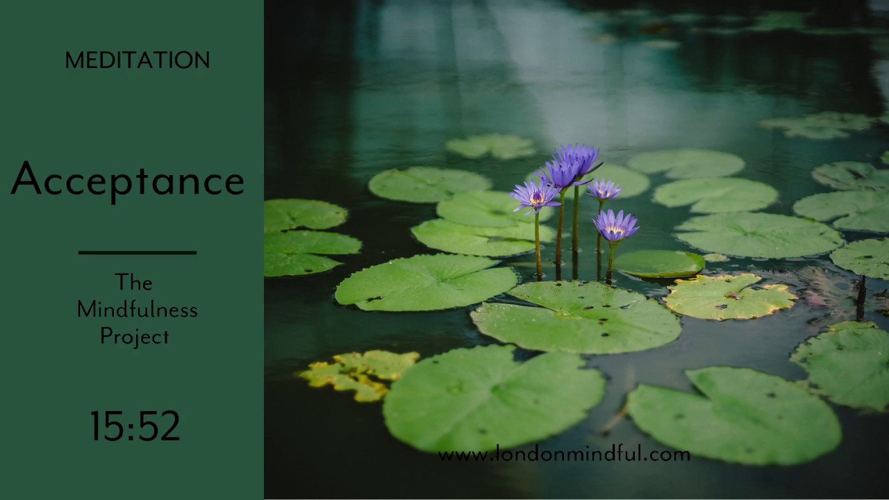 Acceptance I Mindfulness Meditation I The Mindfulness Project