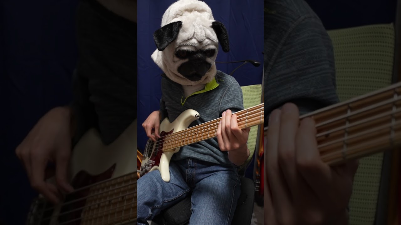 You can't escape this song on shorts #shorts #basspractice #bass #doggo #cheryllynn #gottobereal