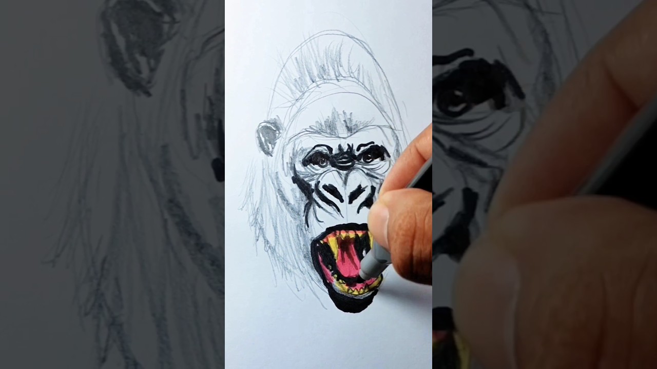 Tips para Aprender a dibujar un Gorila como un experto🦍 