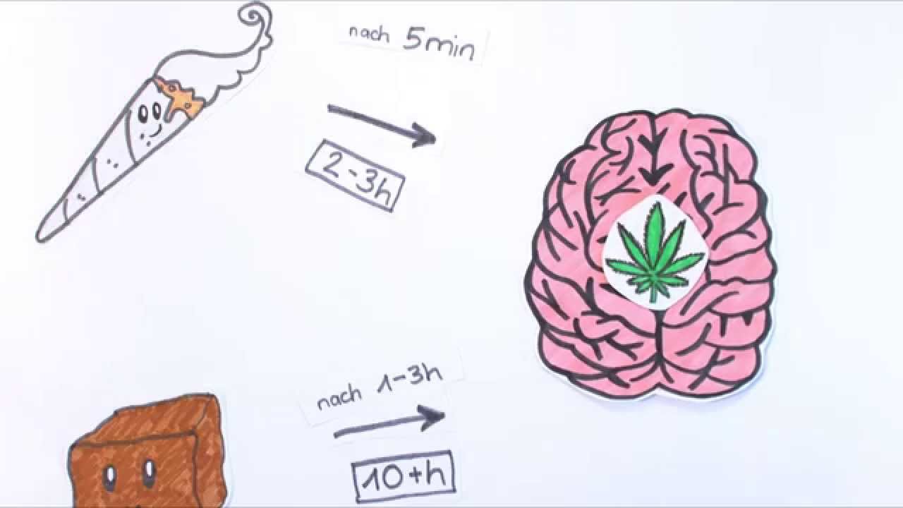 Cannabis - Was passiert in meinem Gehirn?
