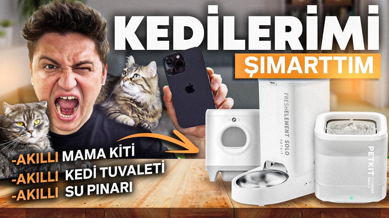 KEDİLERİME 