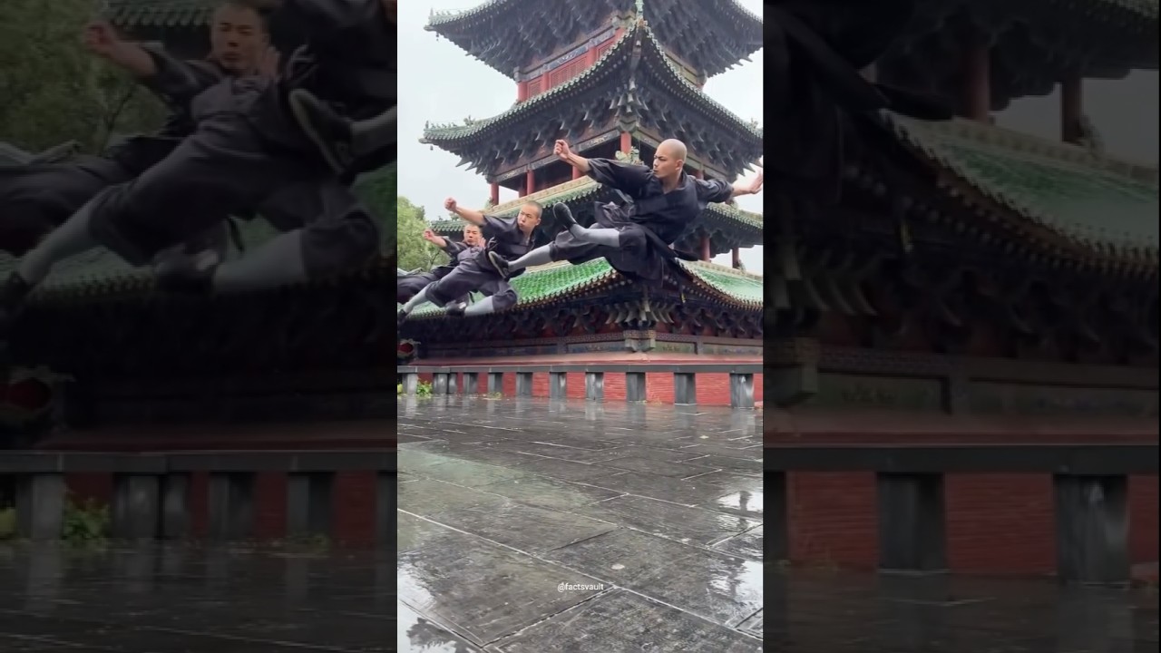 Shaolin monk training #shaolin #shorts