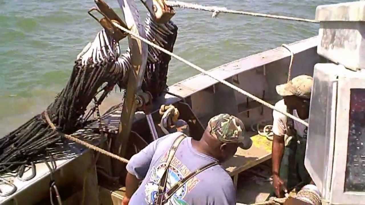 Q.O. Dunn Movie