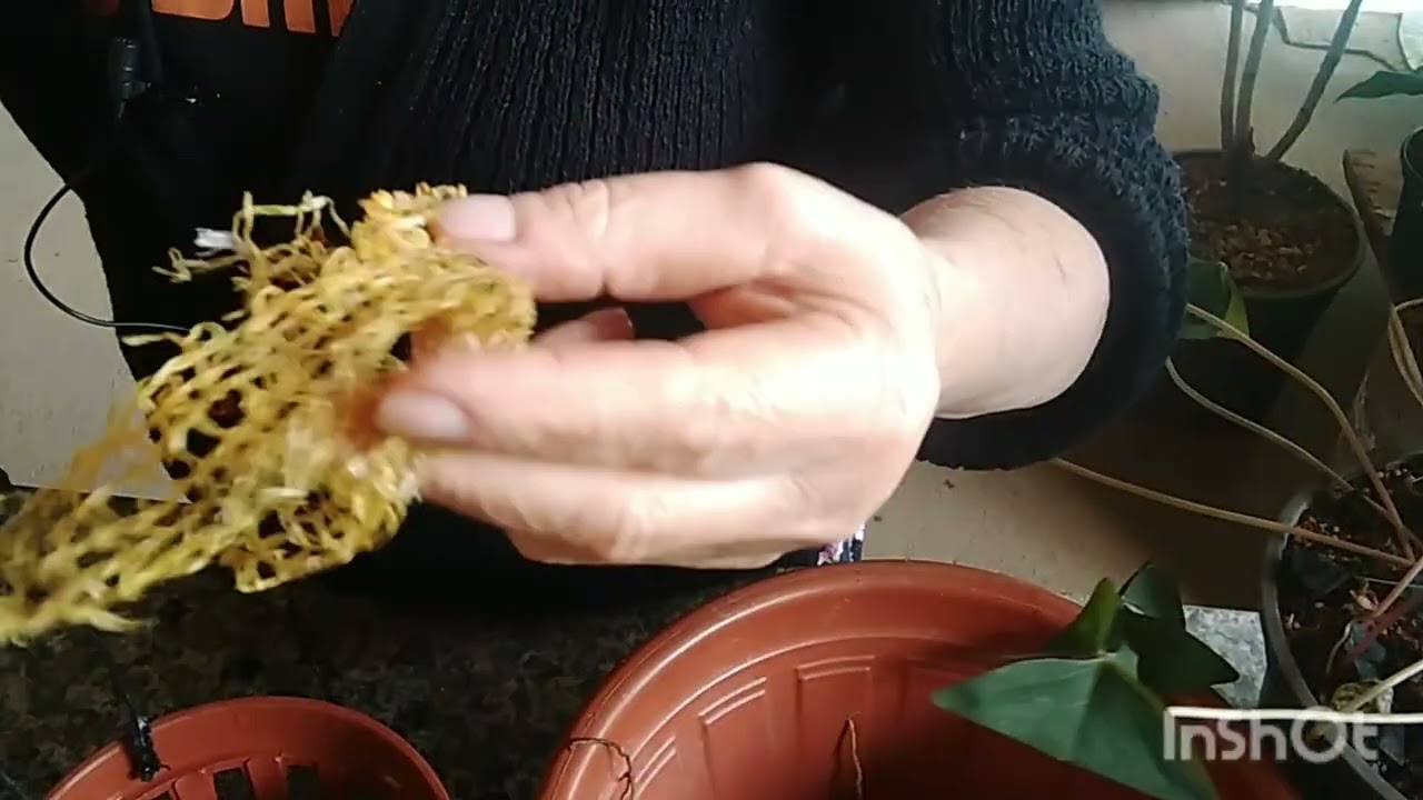 Como resolver este problema vamos tentar 