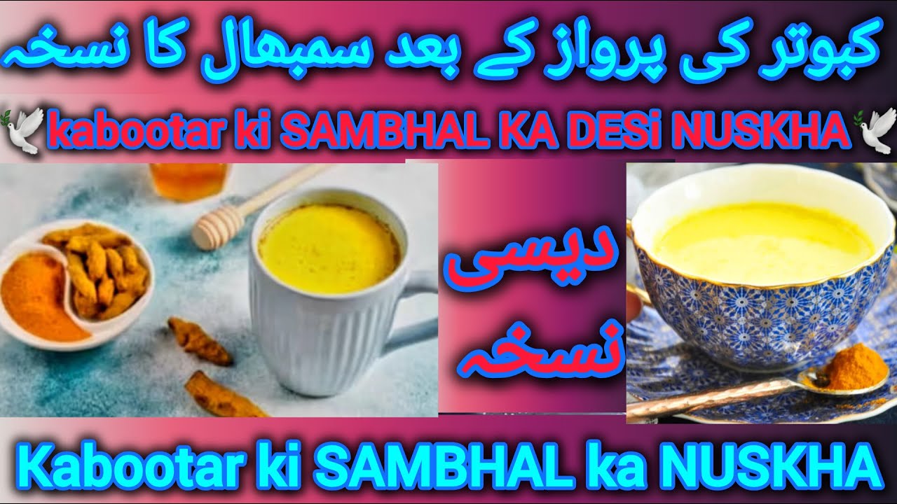 Kabootar ki SAMBHAL ka NUSKHA | Parwaz k baad sambhal ka DESi NUSKHA | pigeon diet after flying