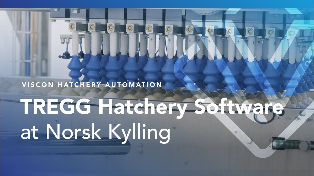 Viscon Hatchery Automation - TREGG software at Norsk Kylling