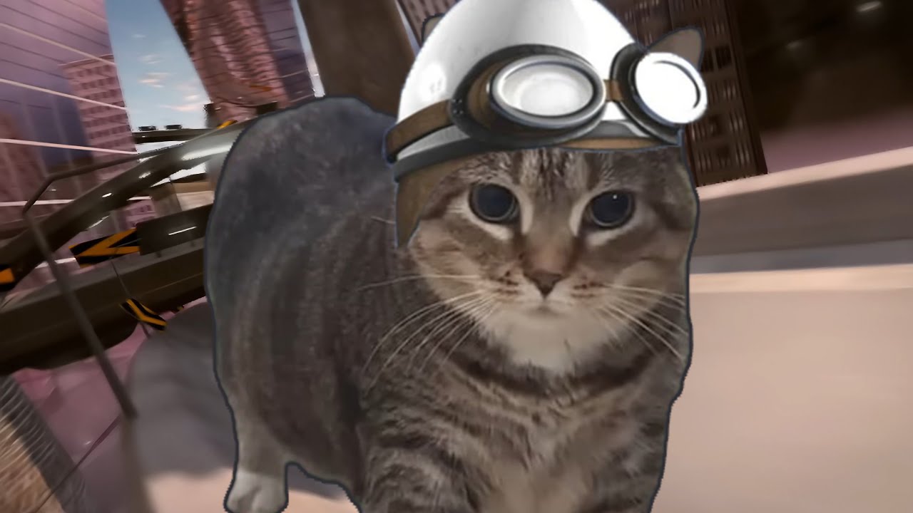 CRAZY OIIAOIIA (OIIAOIIA Cat x Crazy Frog)